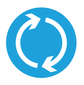 urea cycle